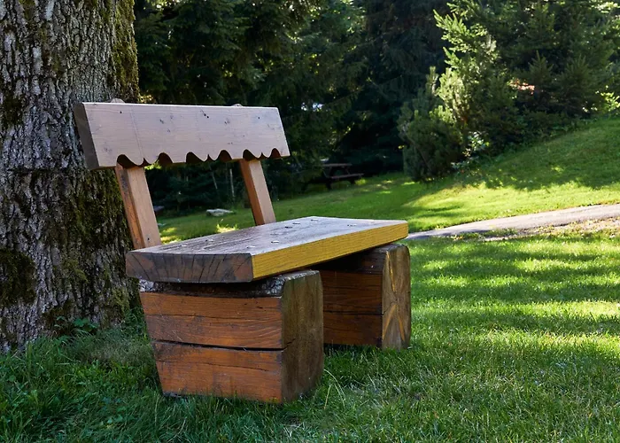 Harmonie 3* Bedřichov